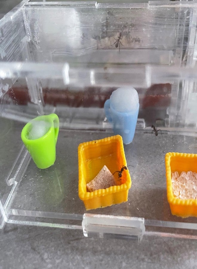 KnocKconK Spider Micro Water Bowl, 3 Pack Mini Liquid Feeder Ant Bowl, Ant Farm Water Feeder, Small Insect Water Bottle, Food Bowl Tarantula Mini Dish for Millipede Tiny Bugs Reptiles - Image 3
